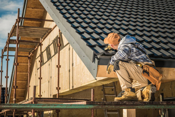 Best Roof Maintenance and Cleaning  in Chesapeake, VA